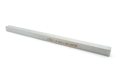 stalka_HSS_B1010200_clear.jpg