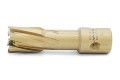 201315N019_b.jpg