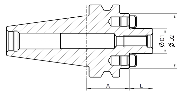 Trzpień frezarski zabierakowy- Typ bt40- basic line